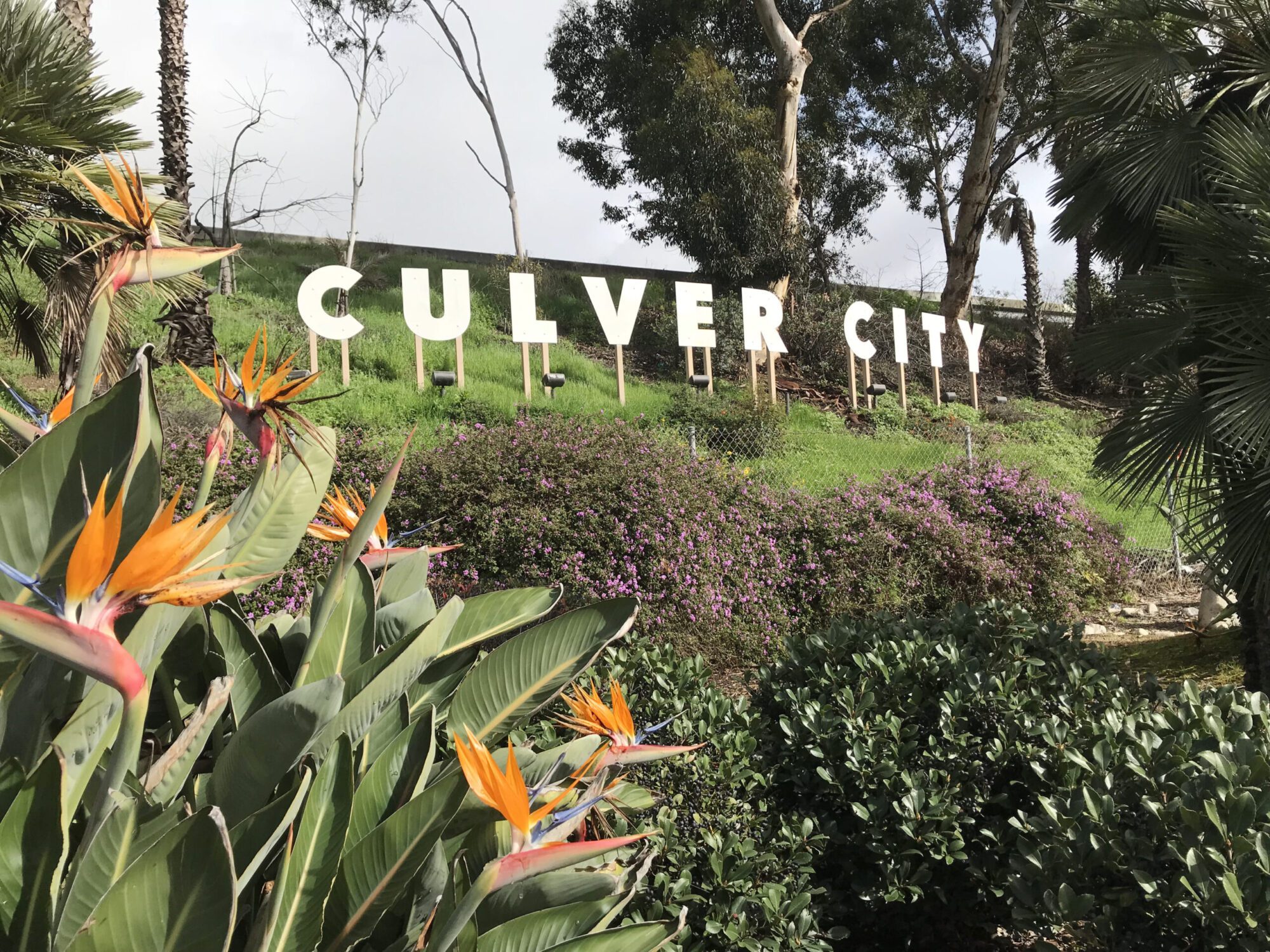 Personal Injury Attorneys in Culver City, CA