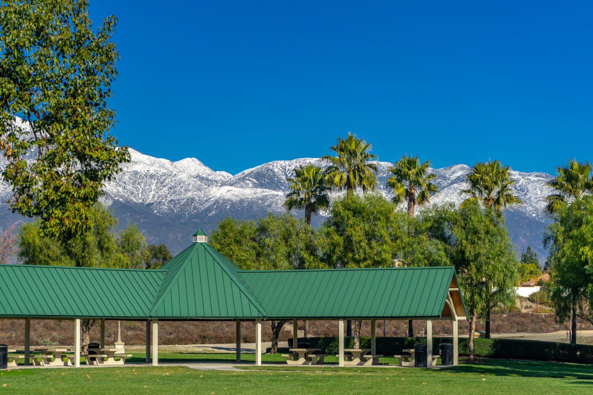 Rancho Cucamonga Employment Lawyer