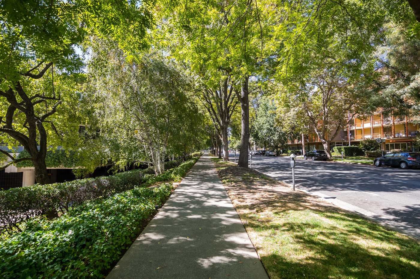 Sacramento Pedestrian Accident Lawyer